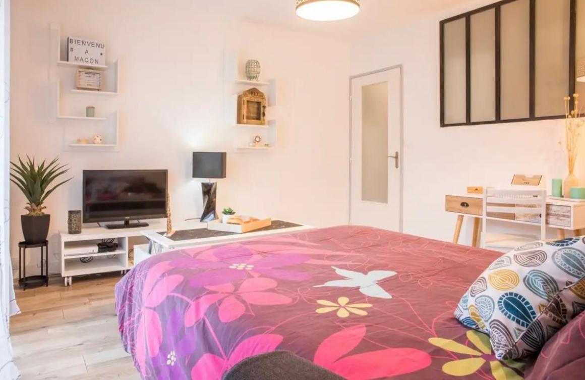 Charmant Appartement T1 Mâcon 외부 사진